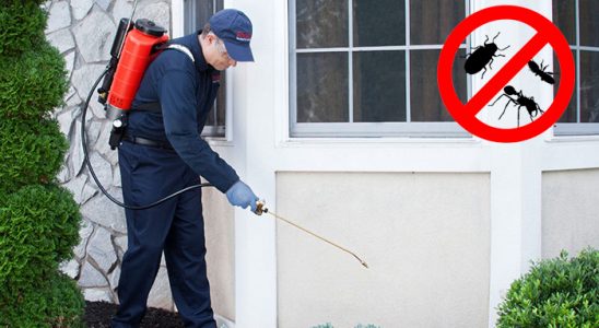 Çınar Böcek İlaçlama böcek ilaçlama ve haşere kontrolü — ilaclama-tr.com